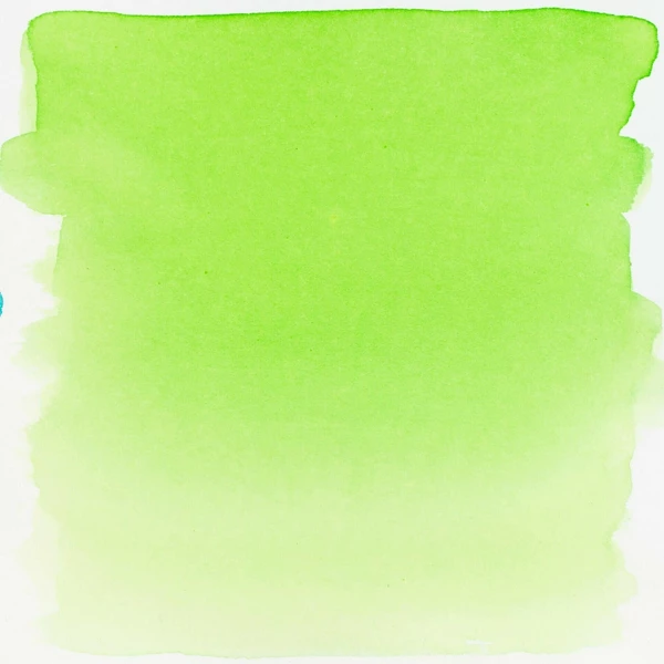 Ecoline akvarelový inkoust 30ml 601 Light Green