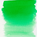 Ecoline akvarelový inkoust 30ml Forest Green