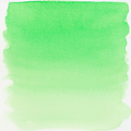 Ecoline akvarelový inkoust 30ml Green