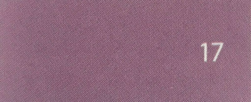 Colorline 70x100 220 G - 17 Lilac