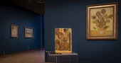 Sada pastelek Van Gogh Museum Sunflowers 12ks