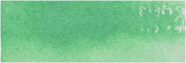 Permanent Green Light 15ml 145