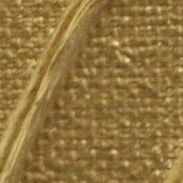 Origin Acrylics 120 ml - 41 Gold