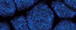 Fantasy Prisme 45 ml - 36 Midnight blue