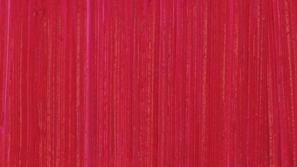 Olejová barva Michael Harding - Opera Rose 247