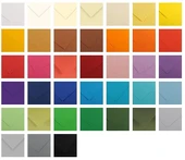 Colorline 50x65 150 G - 05 Buttercup