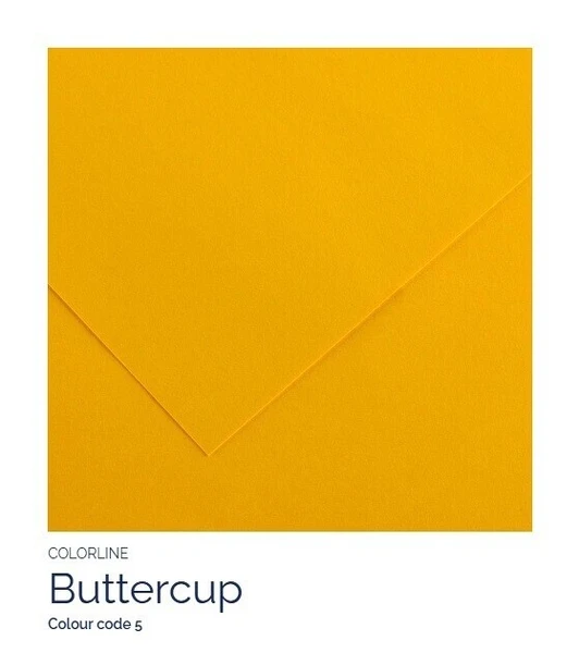 Colorline 50x65 150 G - 05 Buttercup