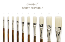 Obrázek produktu - Štětce Simply-T Forte Bristle, ploché dlouhé - různé velikosti