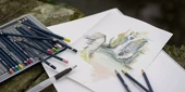 Akvarelová pastelka Derwent 01 ZINC YELLOW 