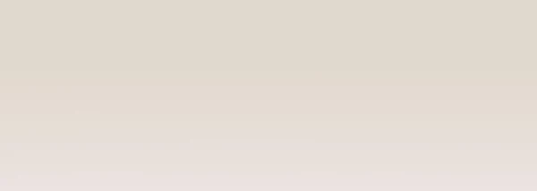 Pastelka Drawing Derwent 7200 CHINESE WHITE