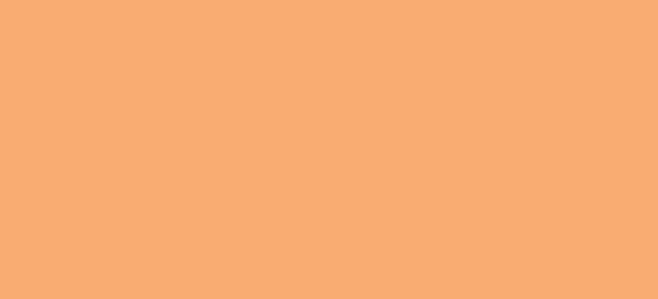 Clean Color Real Brush 002 Orange Fluo.