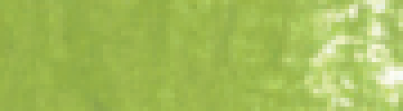GALLERY EF SOFT PASTEL 578 Yellowish Green Field