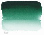 Akvarel v tubě 10 ml 899 S1 Forest Green