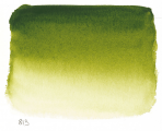 Akvarel v tubě 10 ml 813 S1 Olive Green
