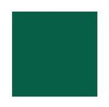 Obrázek produktu - Koi akvarelový fix se štětcem - 031 Viridian