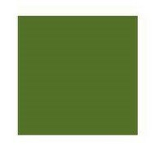 Obrázek produktu - Koi akvarelový fix se štětcem - 029 Green