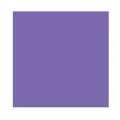 Koi akvarelový fix se štětcem - 224 Light Purple