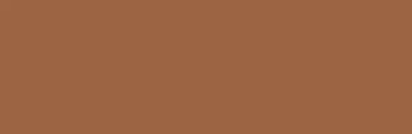 Akrylová barva Amsterdam Standard 120 ml - 234 Raw Sienna