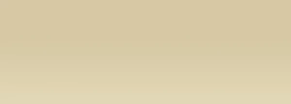 Acrylic MAT PUB 500 ml 01 Ivory